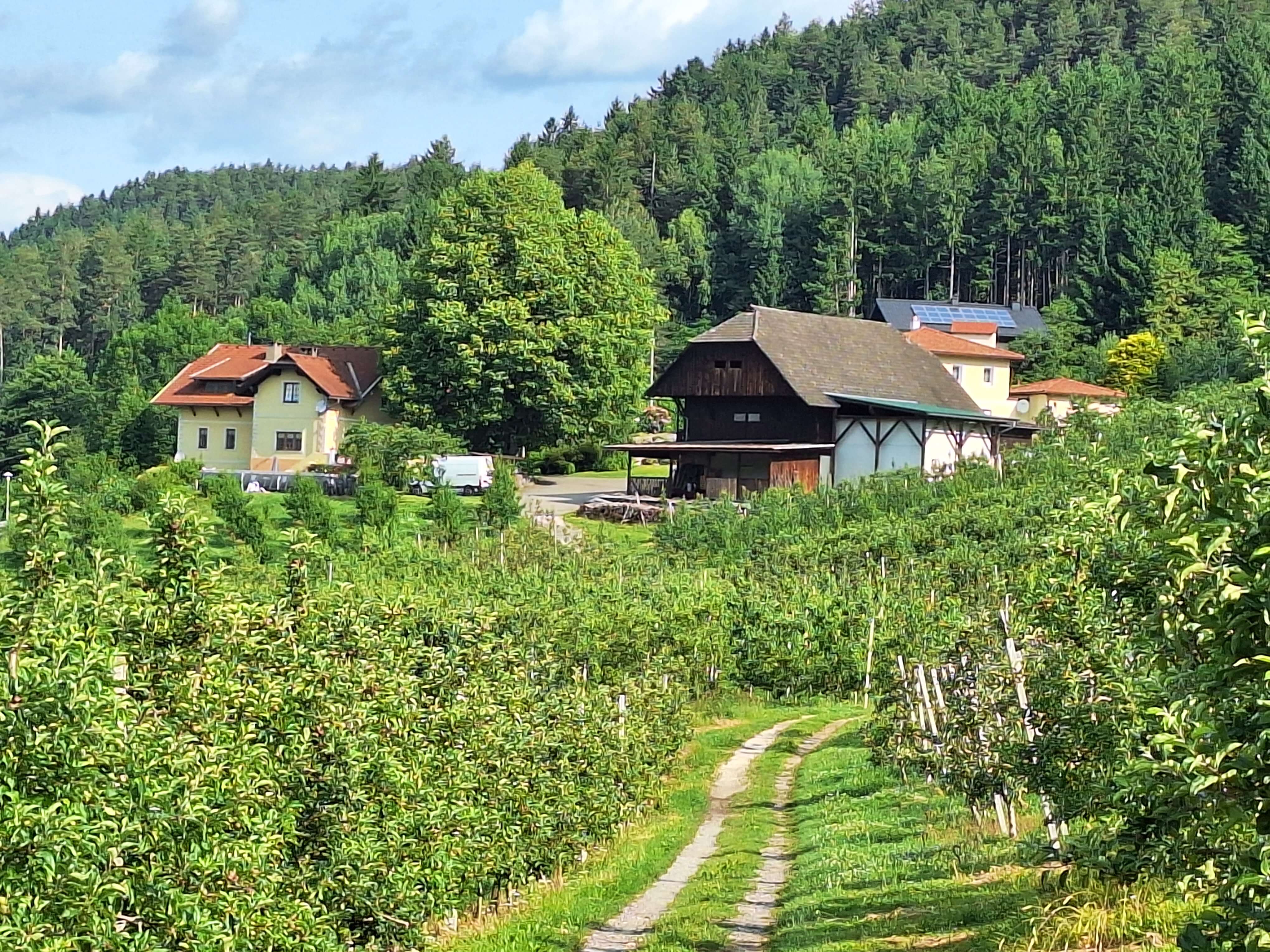 Streuobstwiese und Haus Betrieb Reichhalter Genussland